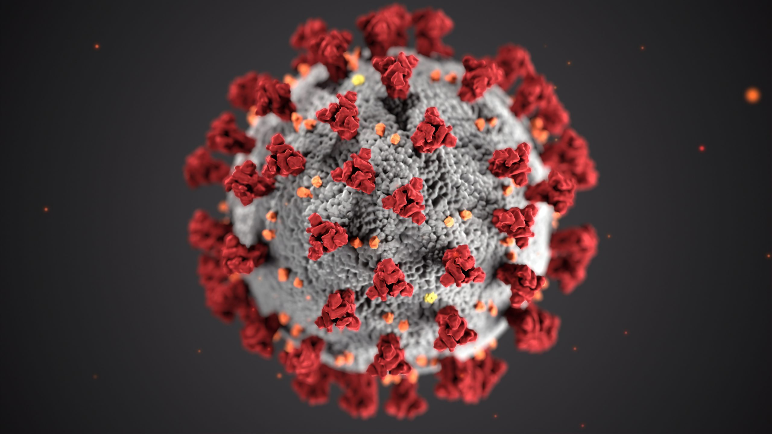 The Novel Coronavirus Pandemic: Facts and Preventive Tips
